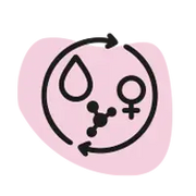 Régulatrice hormonale