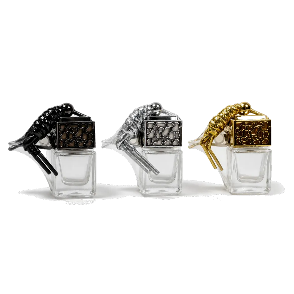 Mini Diffuseur Voiture & Dressing avec Clip