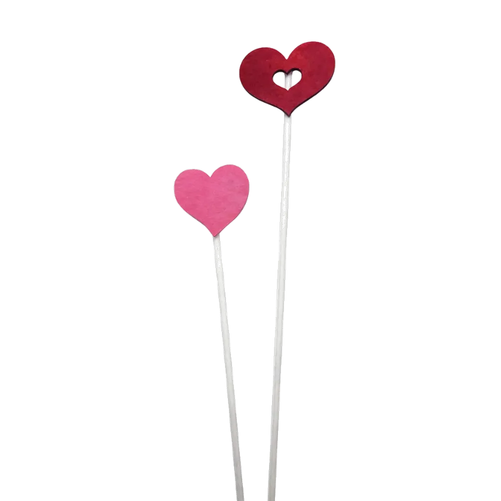 Bâtonnets Diffuseur Bois Cœurs Rouge & Rose