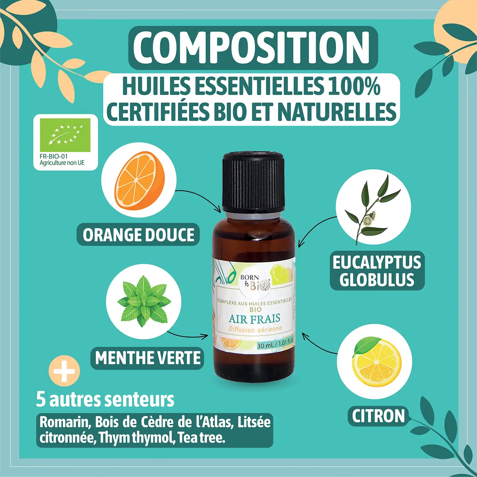 ingredient-naturel-complexe-air-frais-born-to-bio