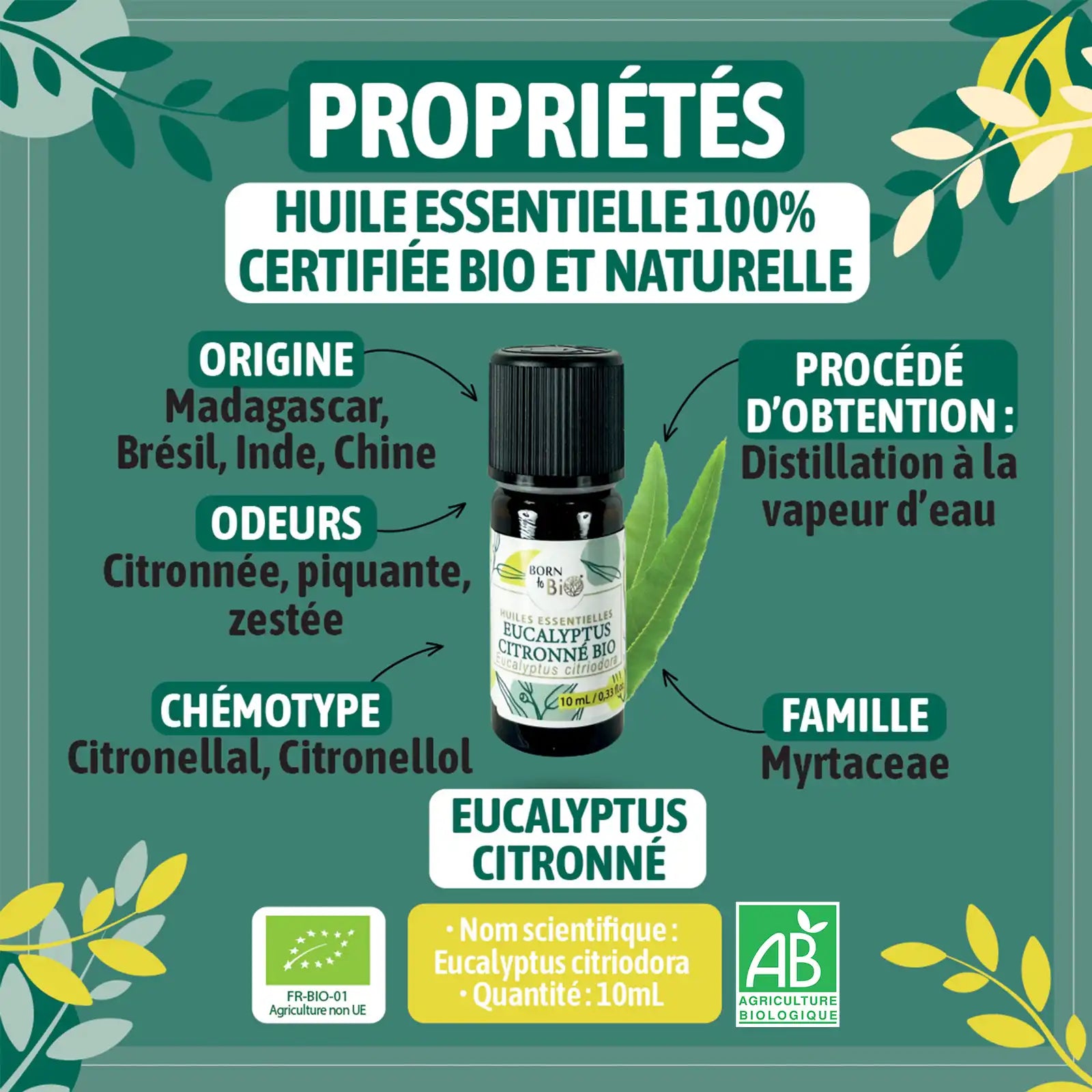 ingredient-naturel-eucalyptus-citronne-born-to-bio