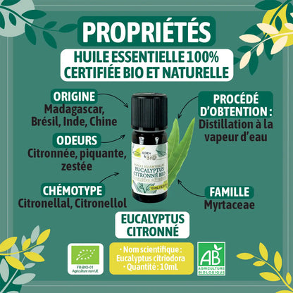 ingredient-naturel-eucalyptus-citronne-born-to-bio