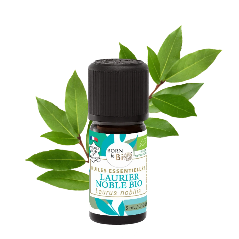 ingredient-naturel-huile-essentielle-laurier-noble-born-to-bio