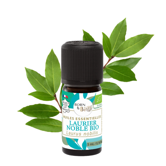 ingredient-naturel-huile-essentielle-laurier-noble-born-to-bio