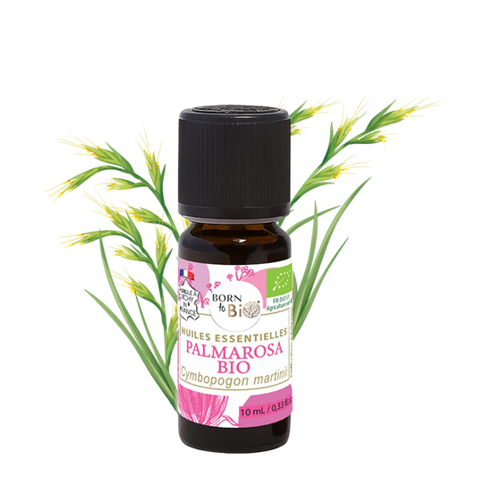 ingredient-naturel-huile-essentielle-palmarosa-born-to-bio