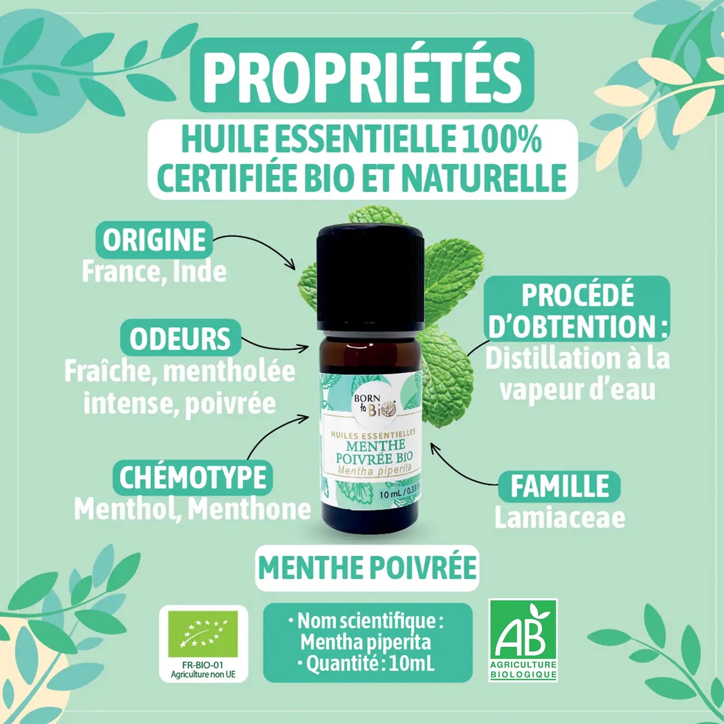 ingredient-naturel-menthe-poivree-born-to-bio