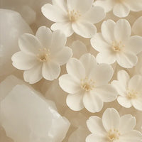 Muscs blancs – Musqué