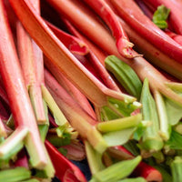 Rhubarbe – Fruité