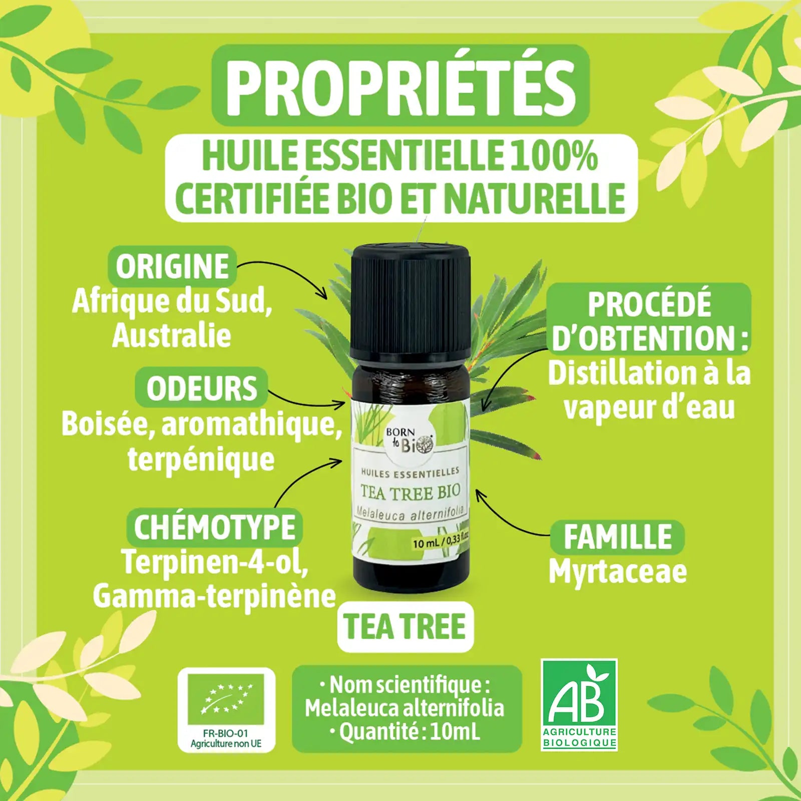 ingredient-naturel-tea-tree-born-to-bio