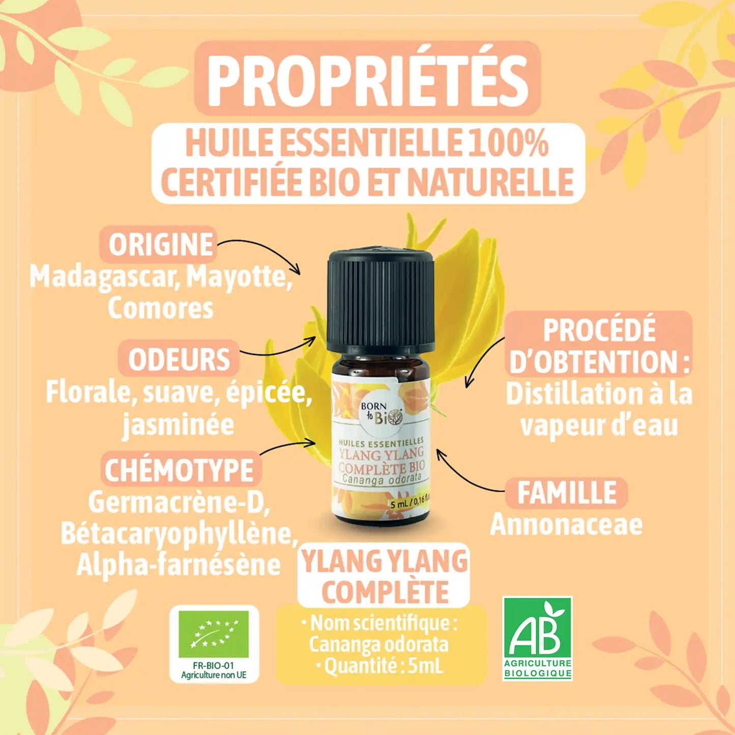 ingredient-naturel-ylang-ylang-born-to-bio