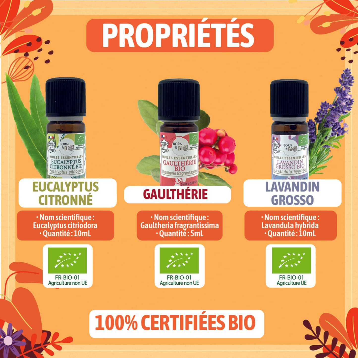 Coffret aux huiles essentielles bio pour accompagner les activités sportives, avec Lavandin Grosso, Eucalyptus Citronné et Gaulthérie pour apaiser et détendre après l’exercice.