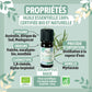 Organic Eucalyptus radiata essential oil