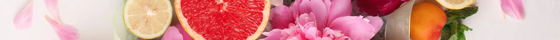 separateur-mag-beaute-born-to-bio