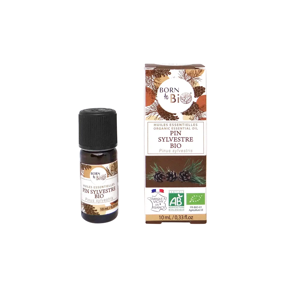 Huile essentielle de Pin sylvestre bio, au parfum frais et résineux, obtenue par distillation des aiguilles. 