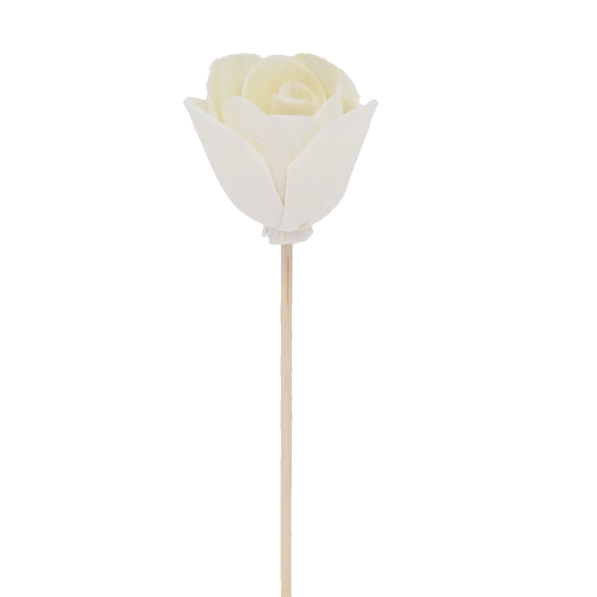 tulipe a fleur de pivoine  - batonnet diffuseur en rotin fleur