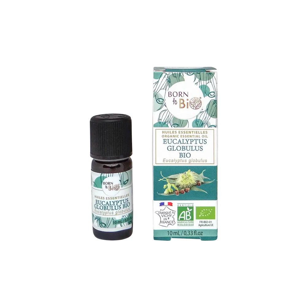 Huile essentielle Eucalyptus globulus Bio 10 mL