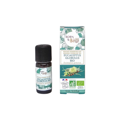 Huile essentielle Eucalyptus globulus Bio 10 mL