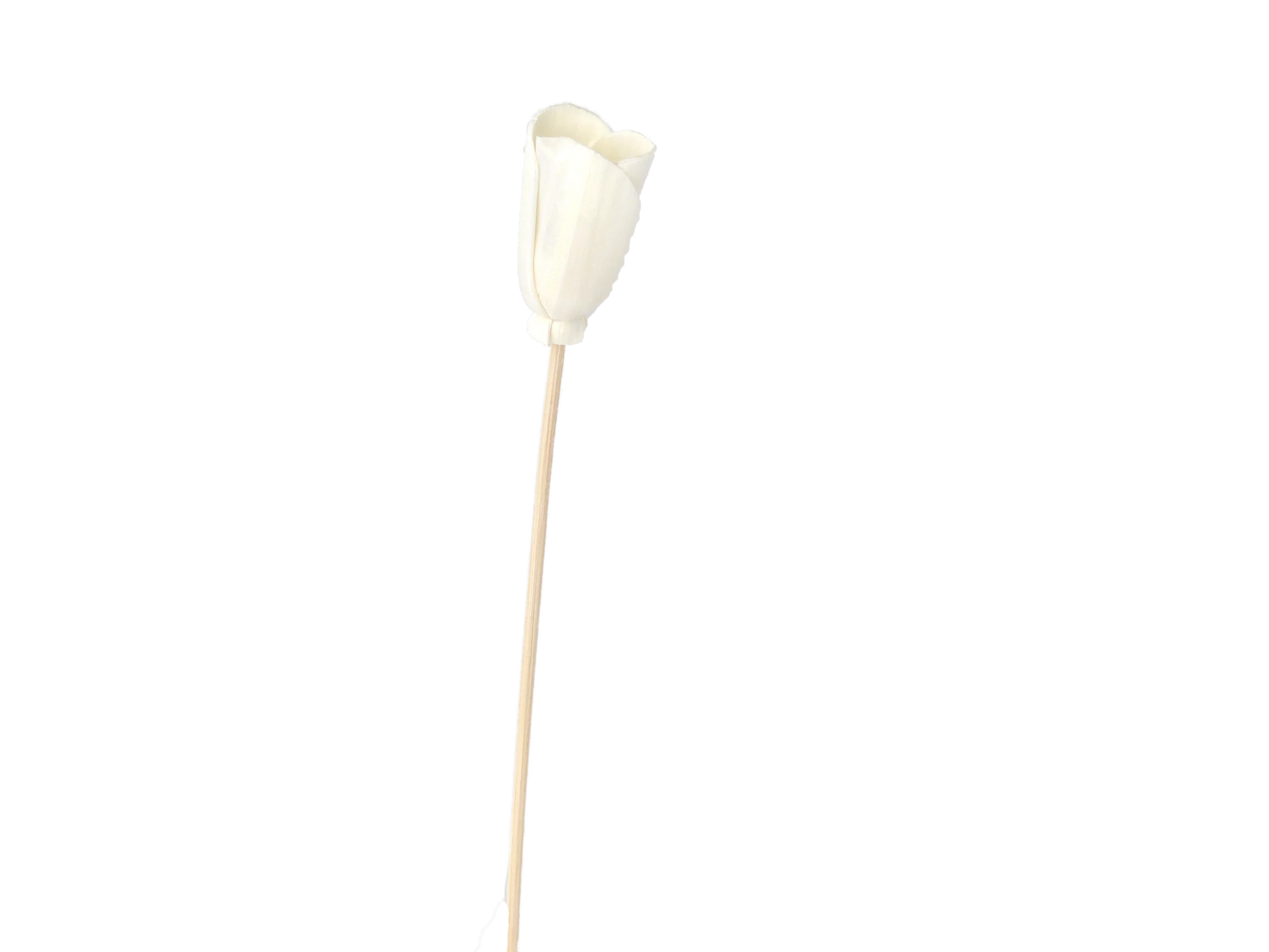 Bâtonnet diffuseur en bois 24 cm fleur tulipe png