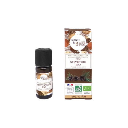 Huile essentielle Pin sylvestre Bio 10 mL