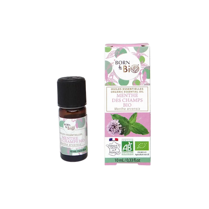 Huile essentielle Menthe des champs BioB 10 mL