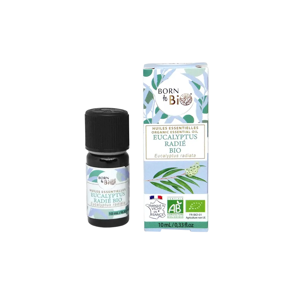 Essential oil Eucalyptus radiata Organic 10 mL